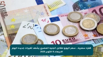 قفزة سعرية.. سعر اليورو مقابل الجنيه المصري يشهد تغيرات جديدة اليوم الأربعاء 8 أكتوبر 2025